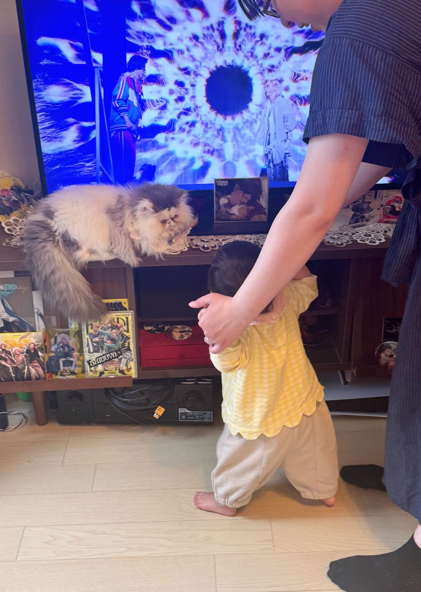 ろーずはーと tweet media