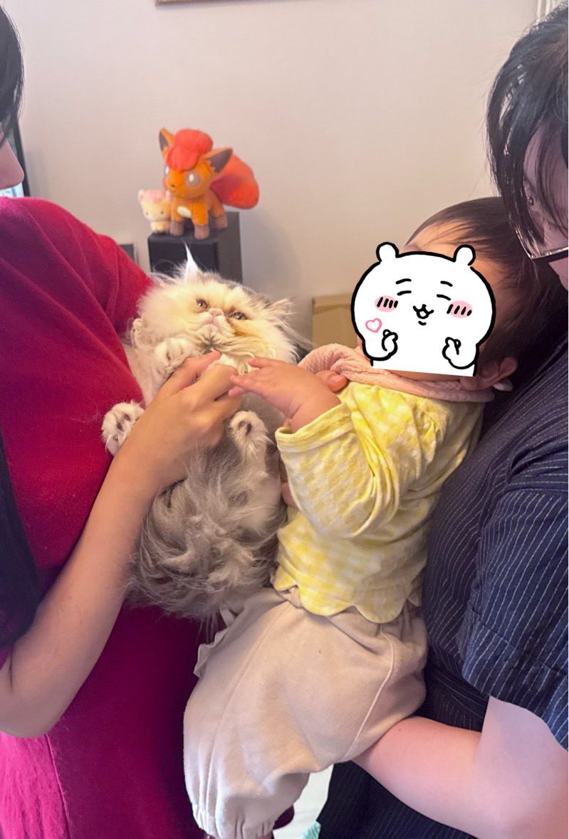 ろーずはーと tweet media