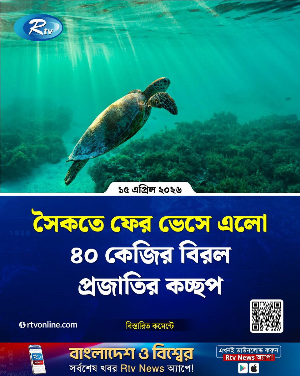 rtvonline's tweet image. কুয়াকাটা সমুদ্র সৈকতে আবারও ভেসে এলো ...
#Rtvnews #kuakata #seaturtle
rtvonline.com/country/376198