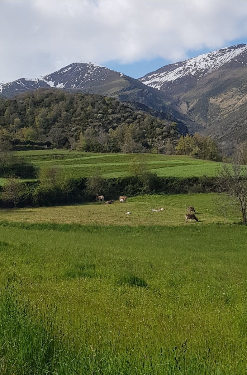 Paseo mañanero. Me vienen a la cabeza los versos de Fray Luis de León: 

"Qué descansada vida
la del que huye del mundanal ruido...".