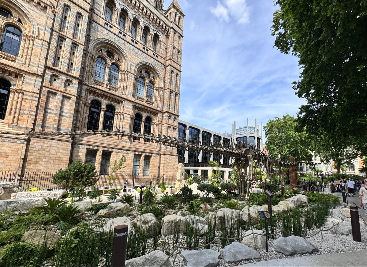 TOKYOMODELING@次回はWF2026s tweet media