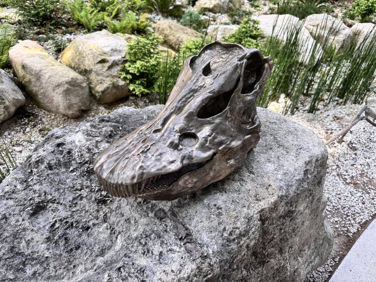 TOKYOMODELING@次回はWF2026s tweet media