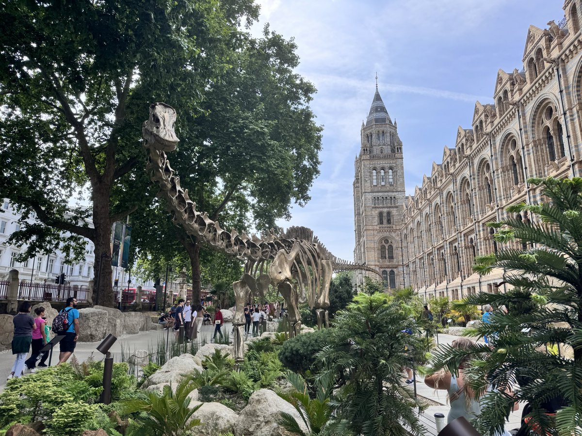 TOKYOMODELING@次回はWF2026s tweet media