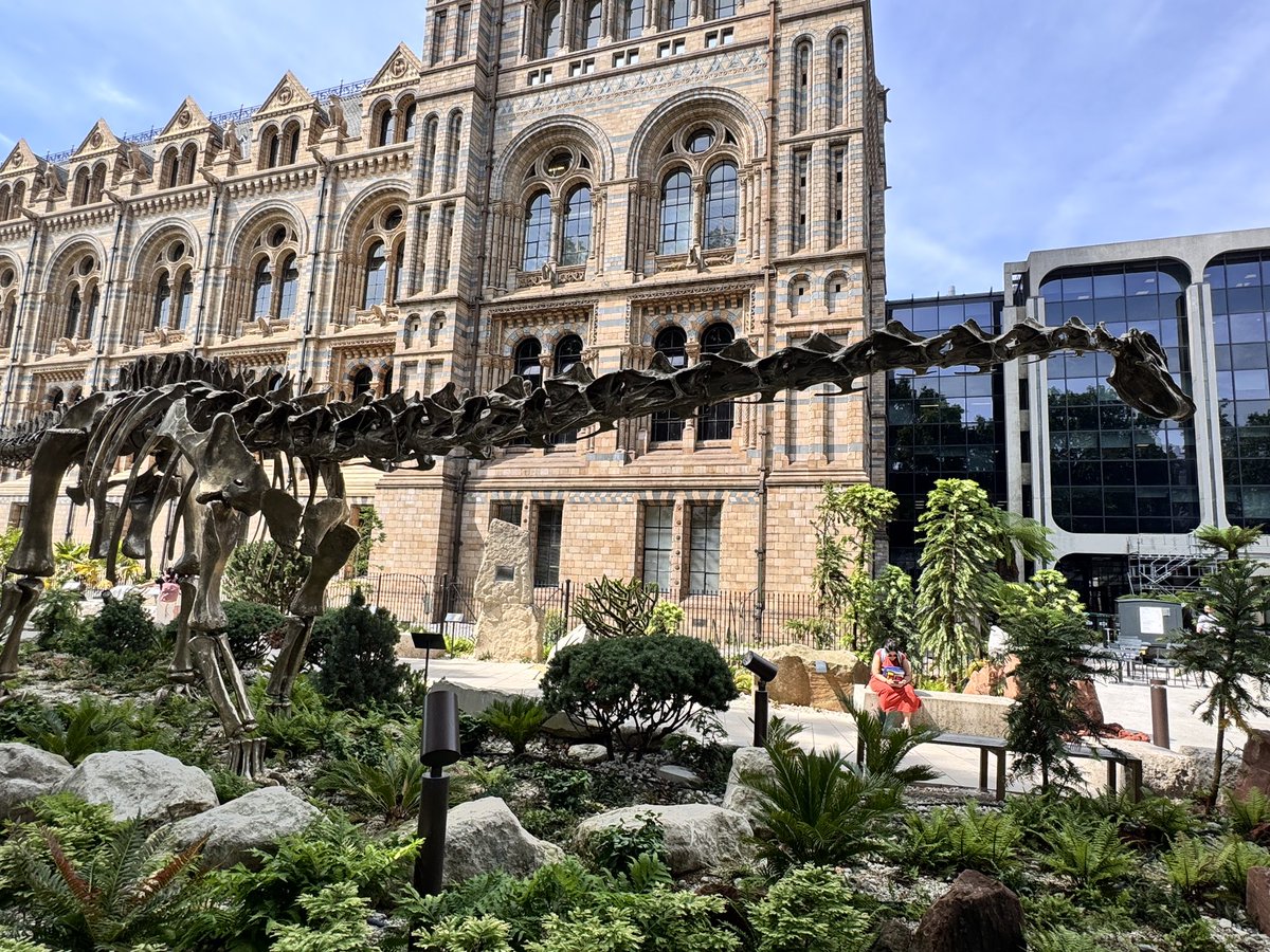 TOKYOMODELING@次回はWF2026s tweet media