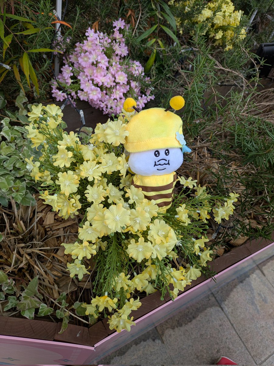 んぽちゃむ★大好き tweet media