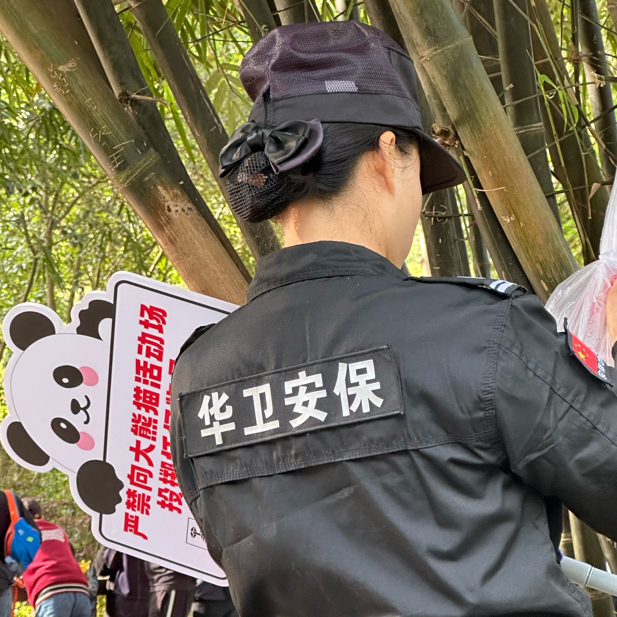 joyjoywithme's tweet photo. ขอเล่าการไปเจอผอ. ฮวาฮวามาค่า
📍Chengdu Research Base of Giant Panda Breeding 🐼🌸เราไปวันที่ 1  เมษายน 69 เลี่ยงเซ้งเม้งแต่คนก็เยอะอยู่ดีเพราะรัฐประกาศให้หยุดยาวเด้อ มาถึงเข้าแถวคนเยอะนี่เช้าแล้วนะ                                #แพนด้า #panda #ฮวาฮวา https://t.co/dz38hoUKiH