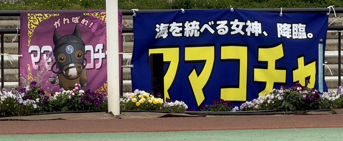 らん🐴 tweet media