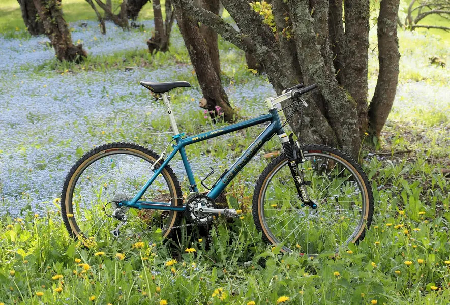 retrobike's tweet image. Photo of The Month March 2026 Winner - Vesatoro's "Spring bloom" dlvr.it/TS2s7x #vintagemtb #retromtb #retrobike