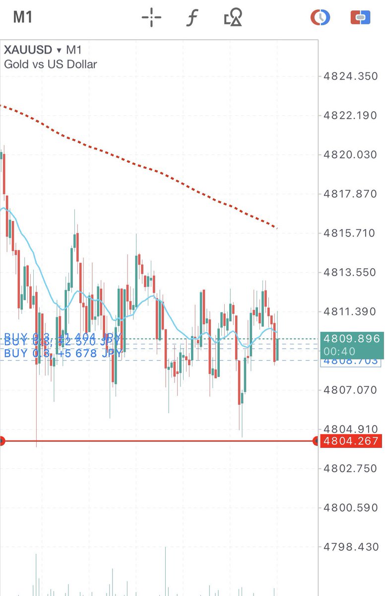 蓮｜FX｜元ジムトレーナー tweet media