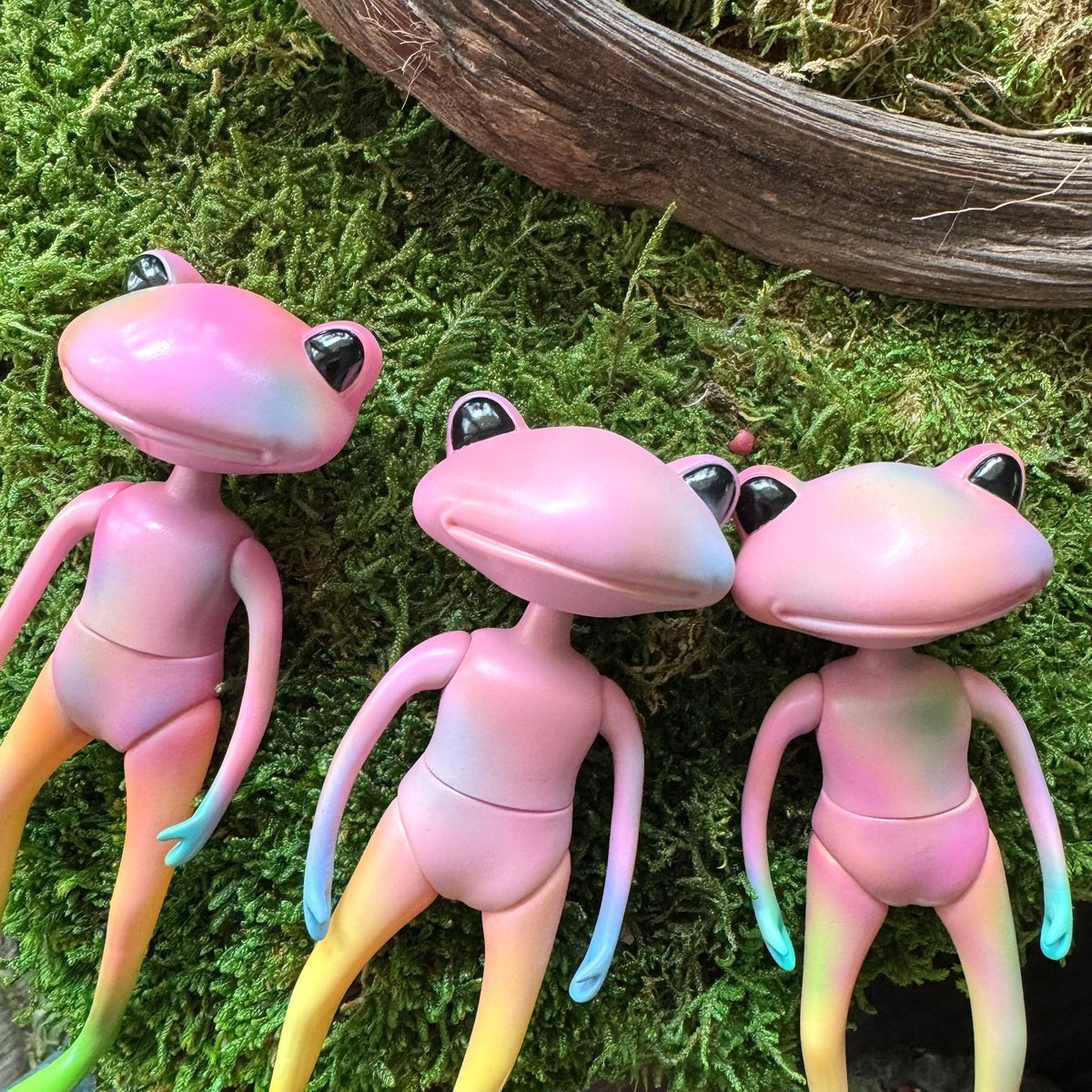 Wonder Frog Offical International tweet media