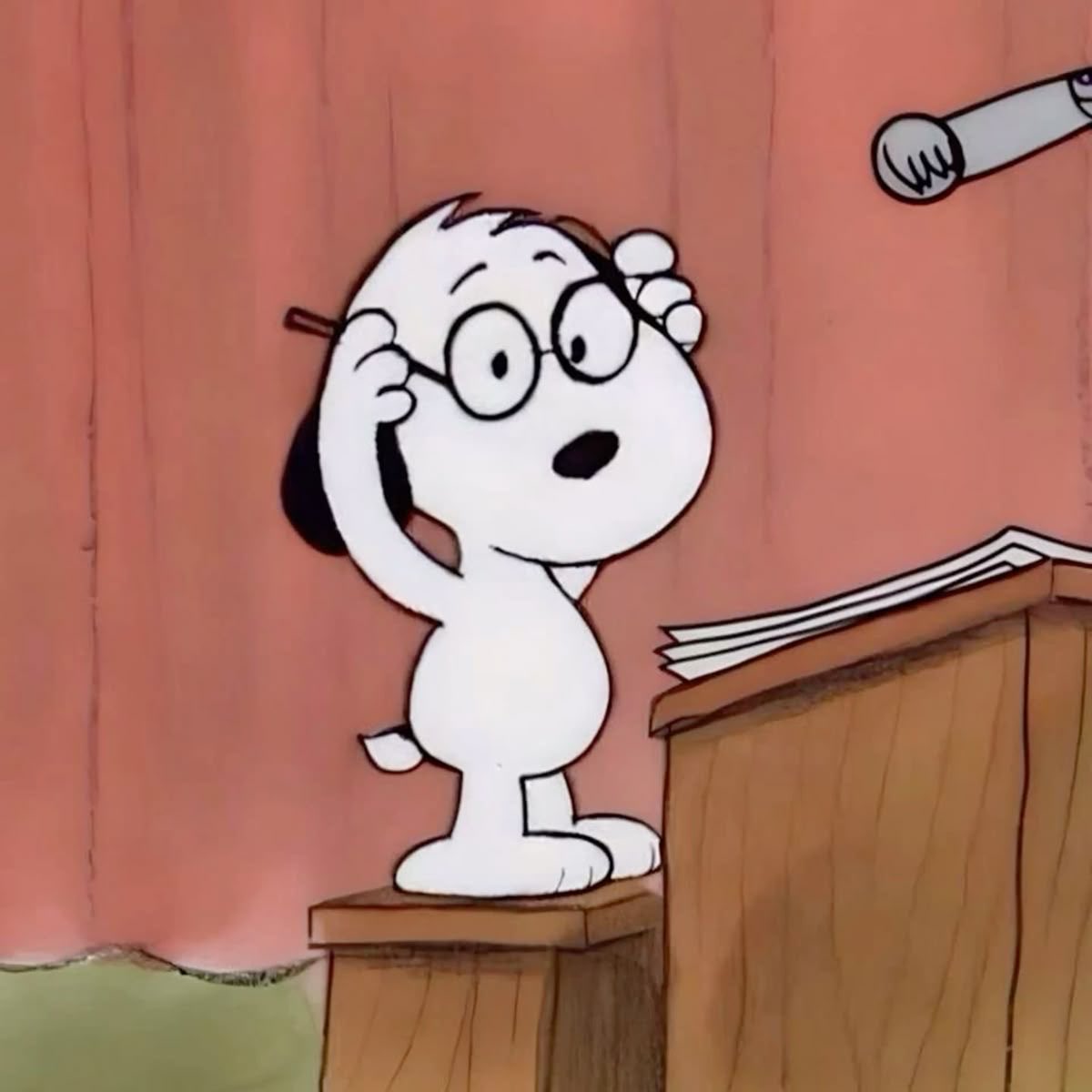 mae🧸🪽 tweet media