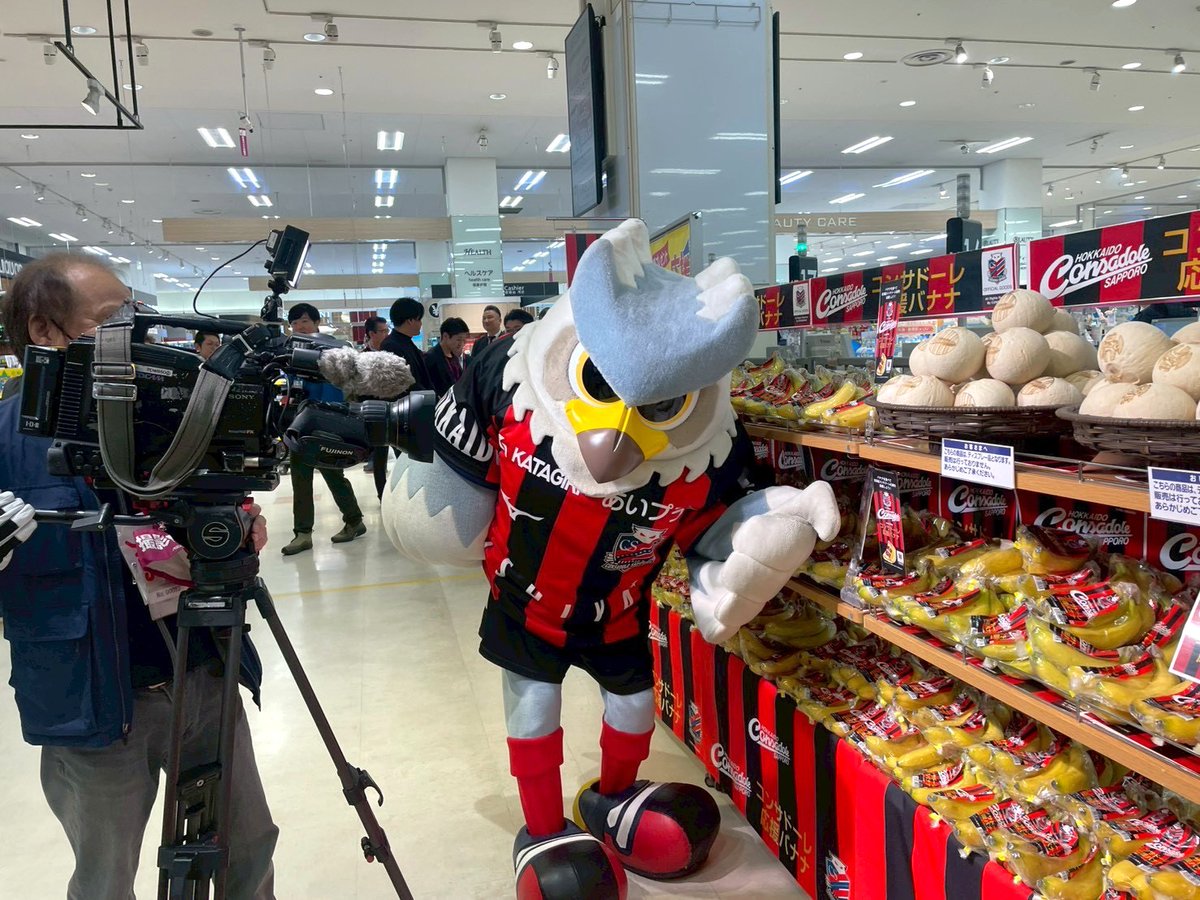 ドーレくん☆ tweet media