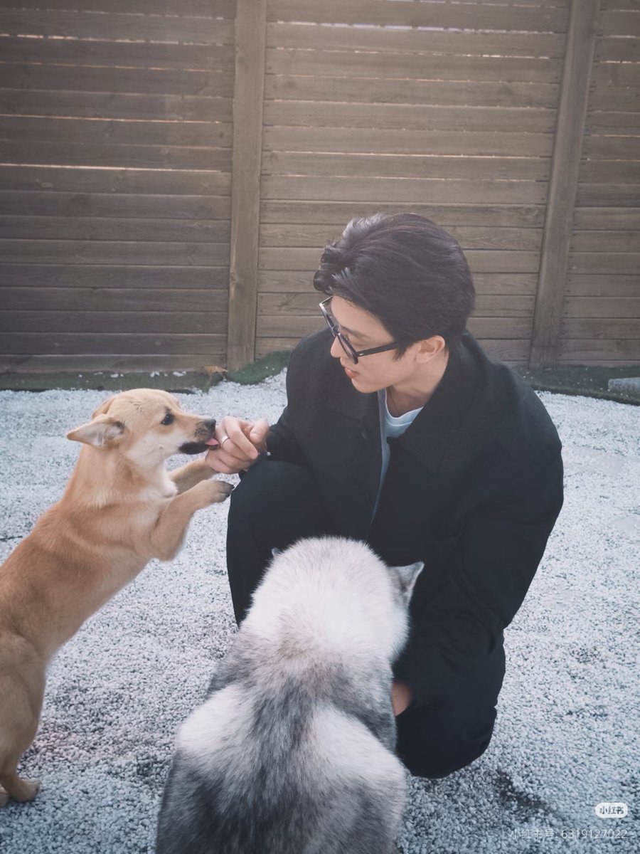 yibaobao_'s tweet image. Bet I'll bite you 😬 See ya next time

#SammysChildrensDay
#MatthewHan #XingZhuohui