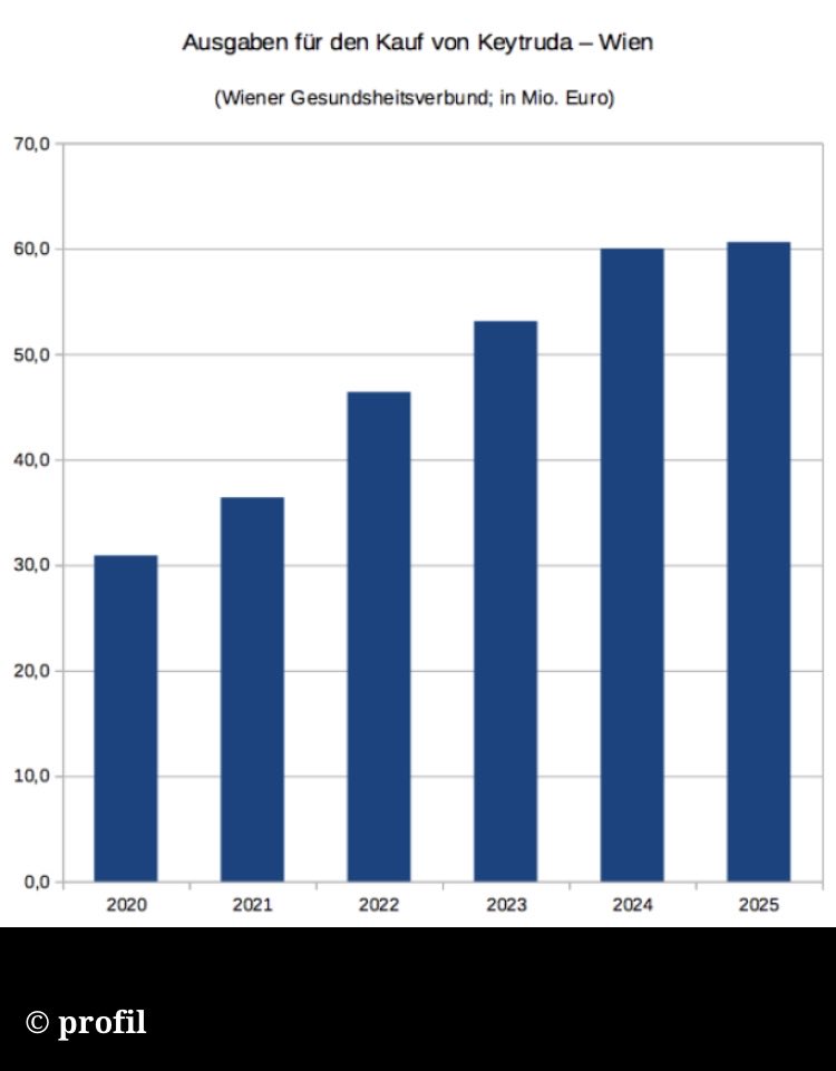 StefanMelichar's tweet image. Alleine Wien gibt 60 Mio. €/Jahr für ein einziges Medikament aus - das Krebsmittel Keytruda. Zu Beschaffungsdetails mauern die Spitalsbetreiber der Länder. @profilonline und @derStandardat ziehen für mehr Transparenz vor Gericht. #CancerCalculus @ICIJorg profil.at/investigativ/g…