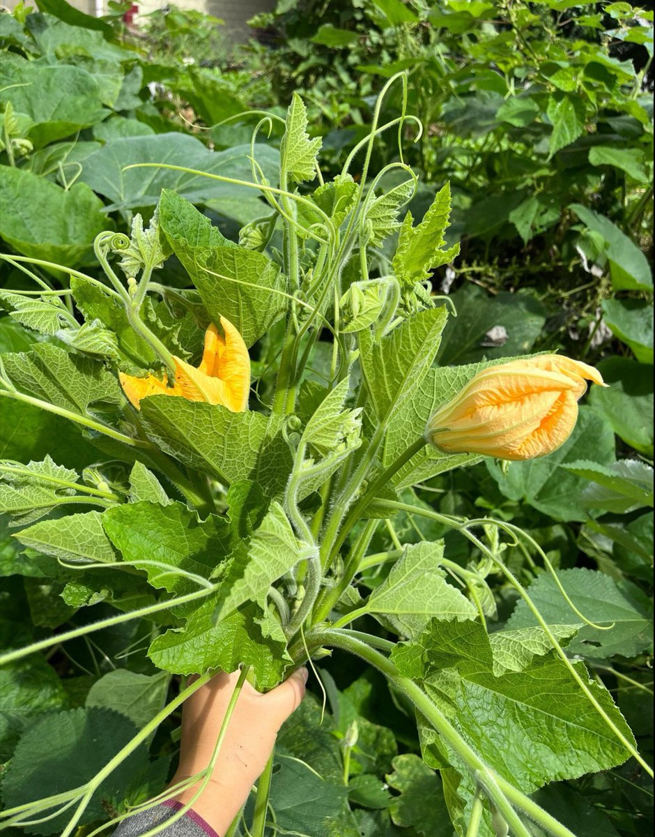 melo75138592's tweet image. "Small daily wins = big health gains!  10k steps, 5 servings of veggies, 8h sleep—track u0026 celebrate every step. #HealthGoals #WellnessJourney"