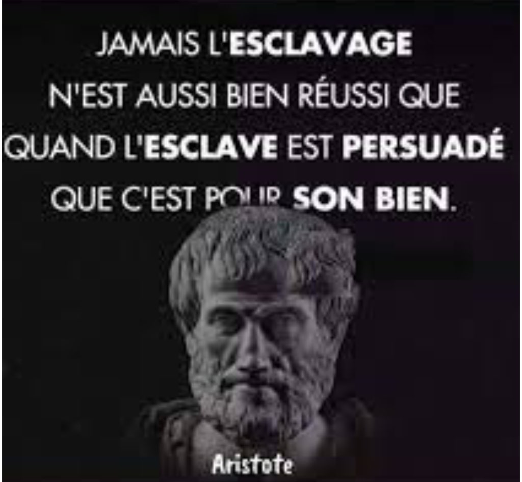 JeanN52712's tweet photo. @le_Parisien Ils iront d’eux mêmes à l’abattoir !!! https://t.co/yul7s0VryA