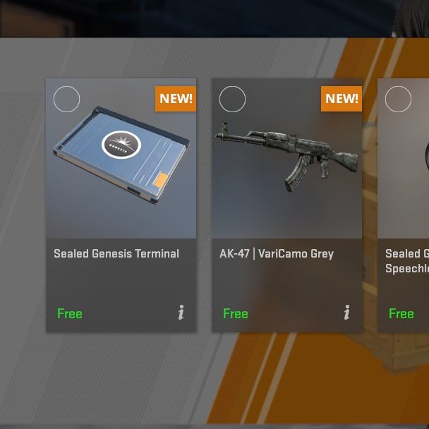 Ghostlydolphins tweet media