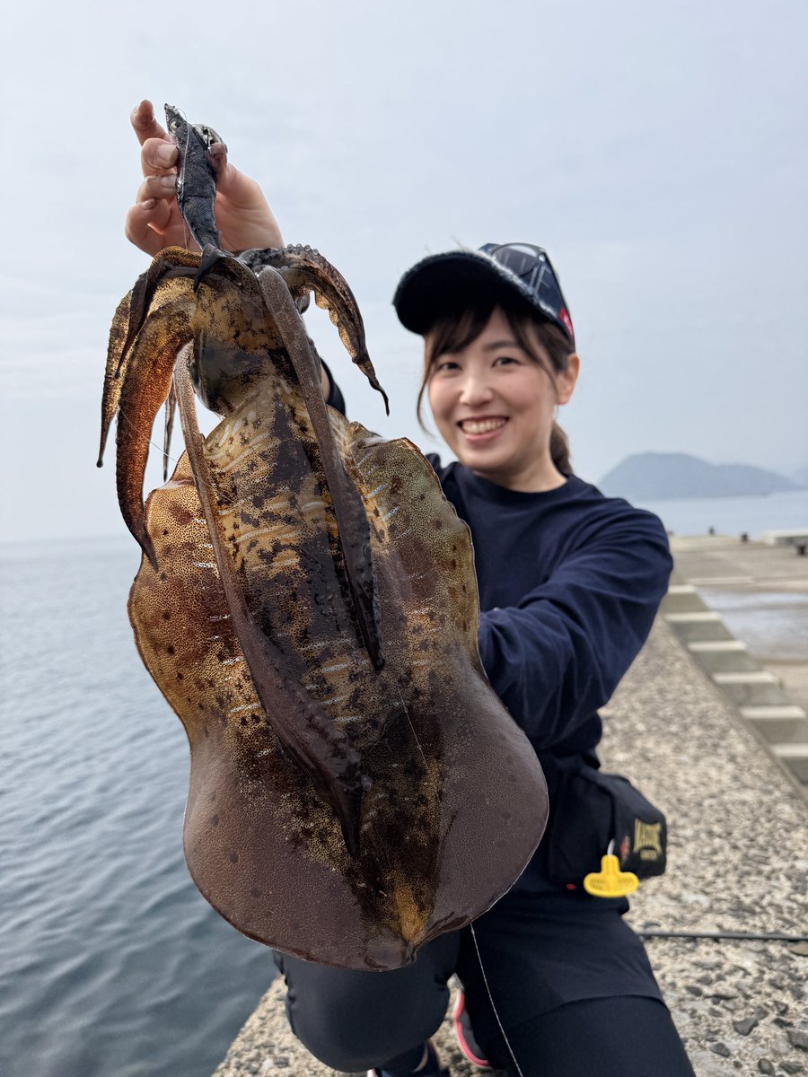 ぼーちゃん@みさお ひとみ tweet media