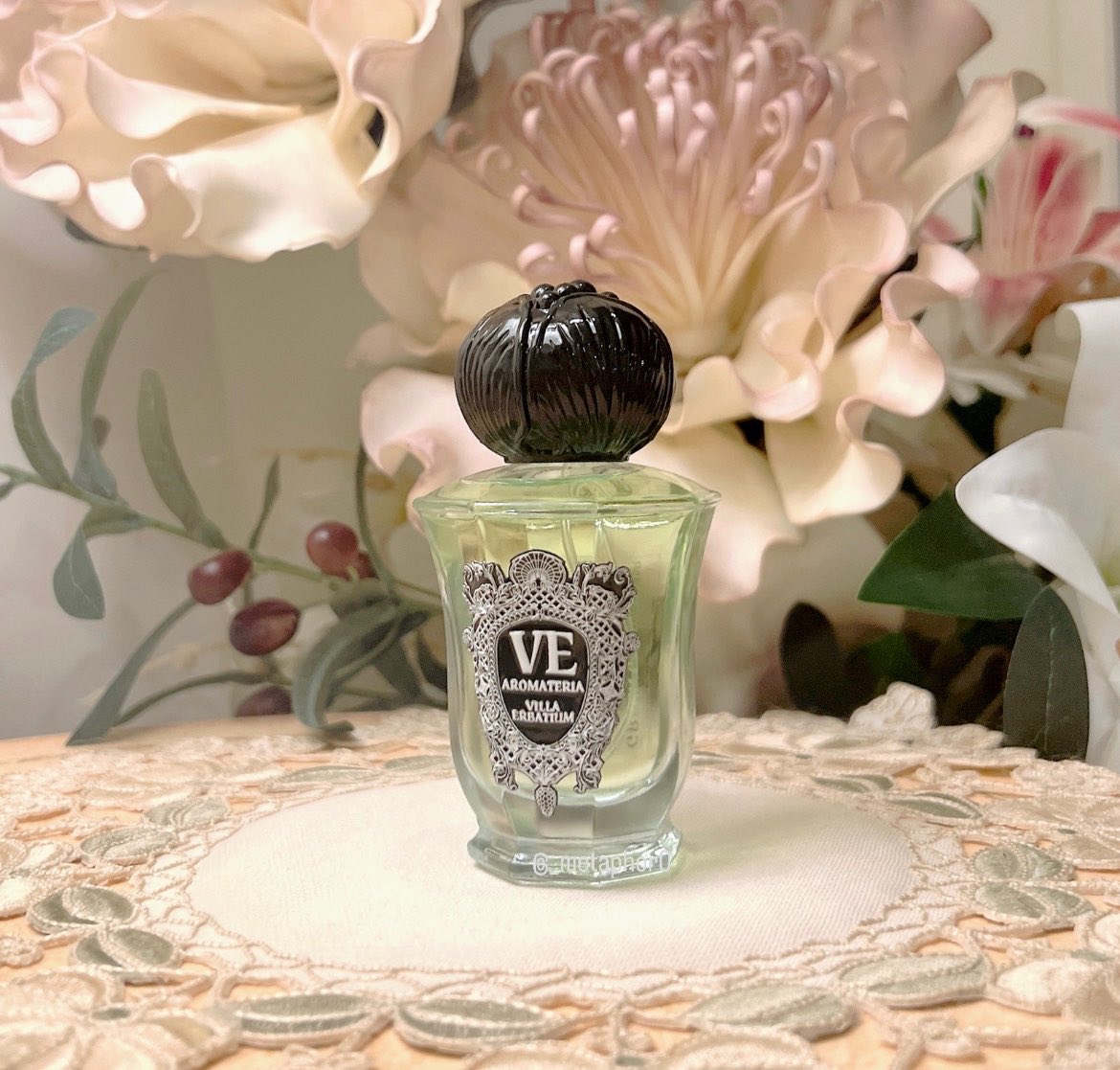 ☁️ maria ☁️ tweet media