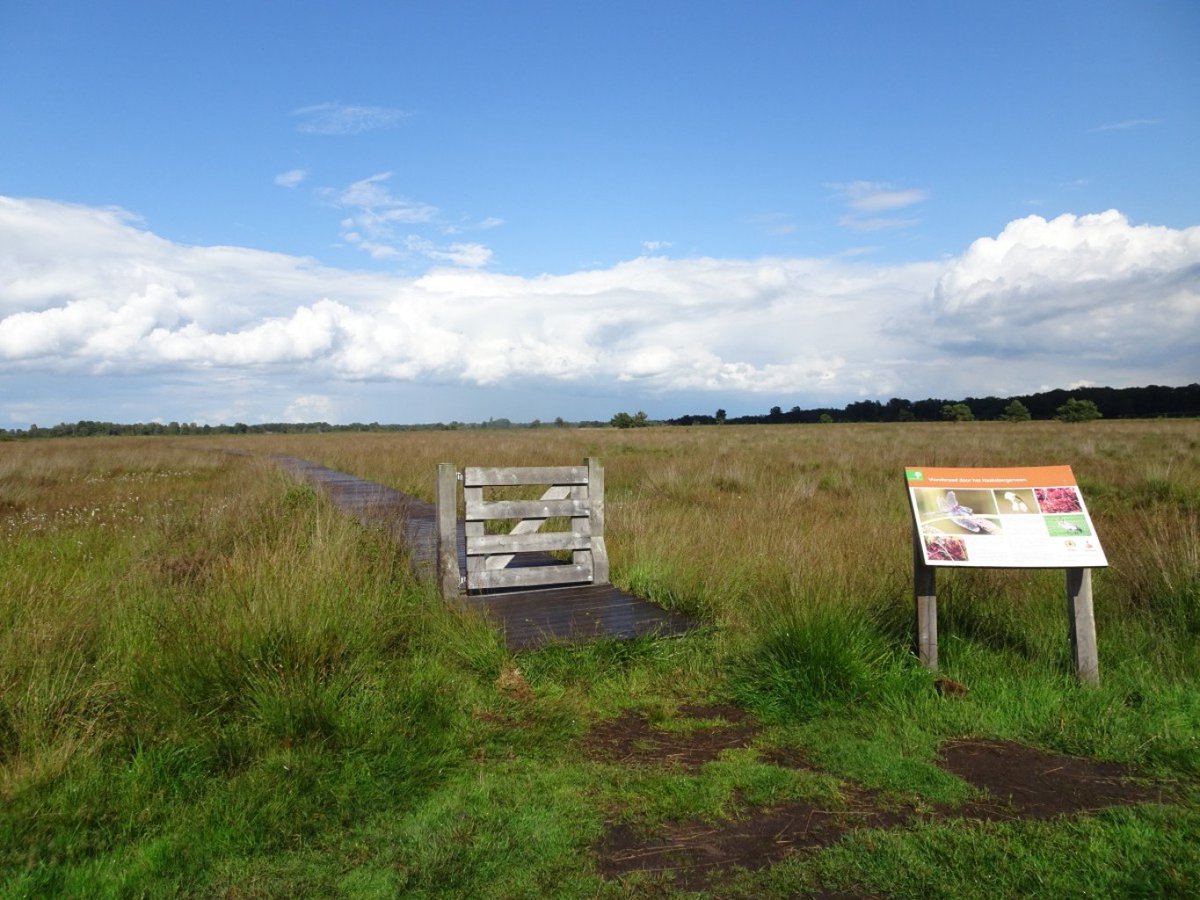 Wandelnet tweet media