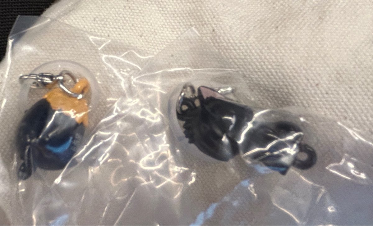 ミニミニ tweet media