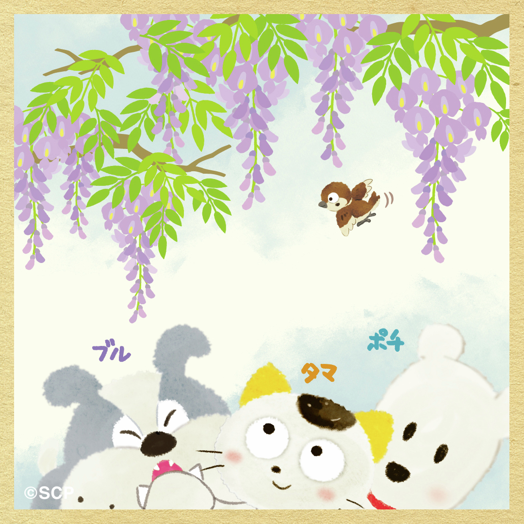 三丁目のタマ町内会 tweet media