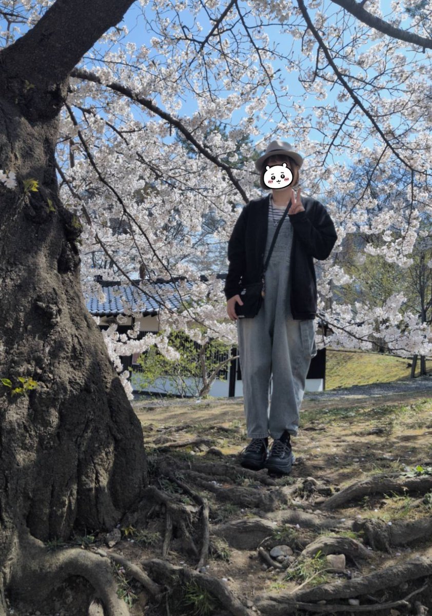 ヤヨイ🐴 tweet media