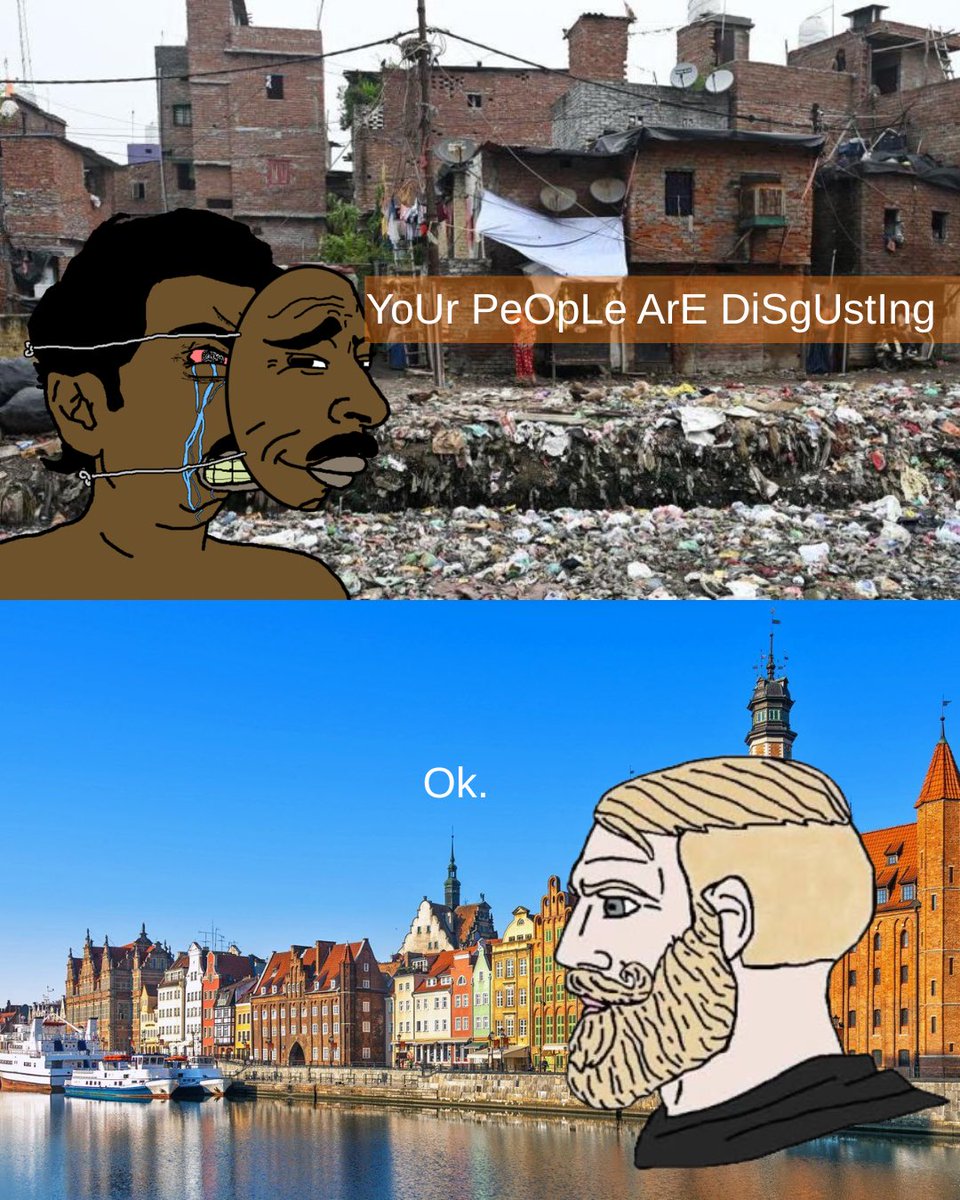 🇵🇱Winged Hussars🇵🇱 tweet media