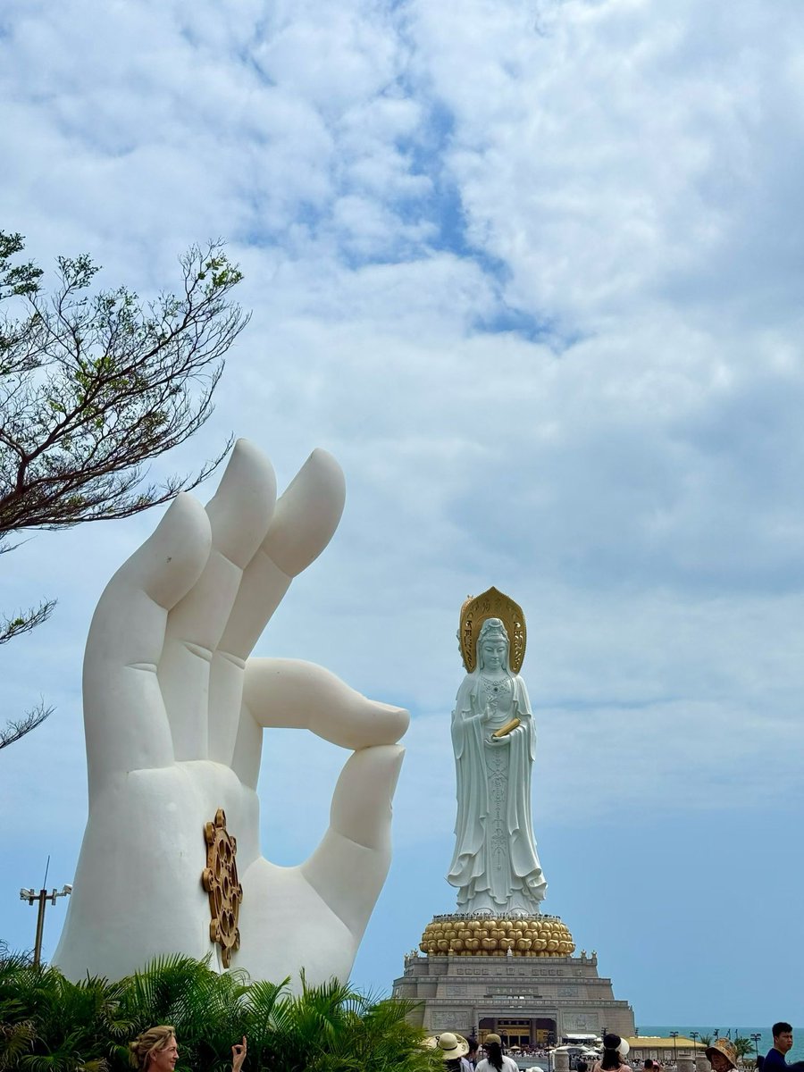 柒柒✈️🪂 tweet media