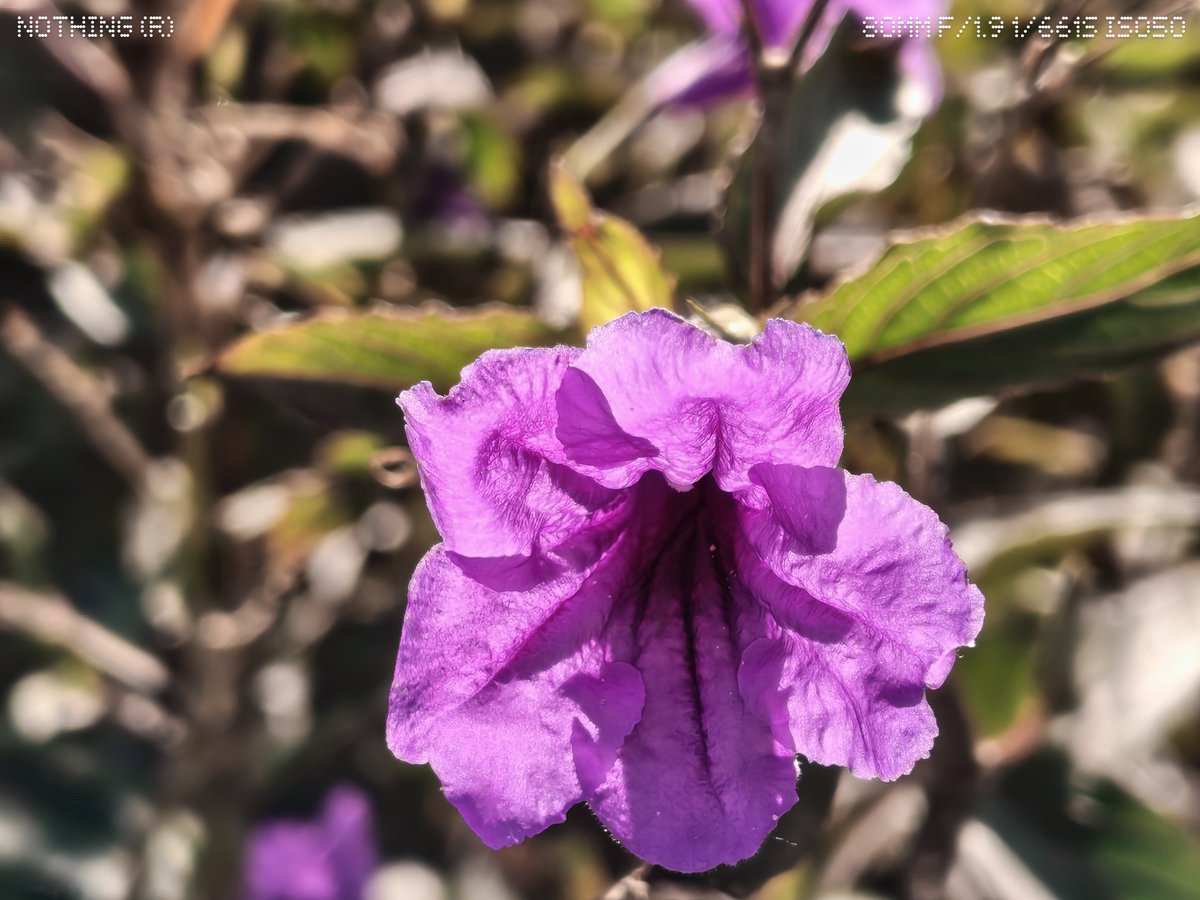 محمد حدائدي tweet media