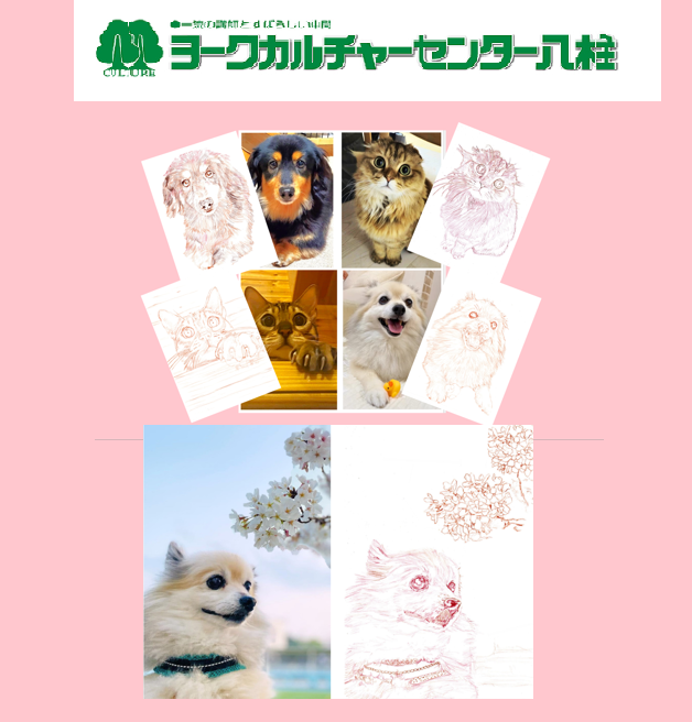 佐々木富士八 Fujiya Sasaki tweet media