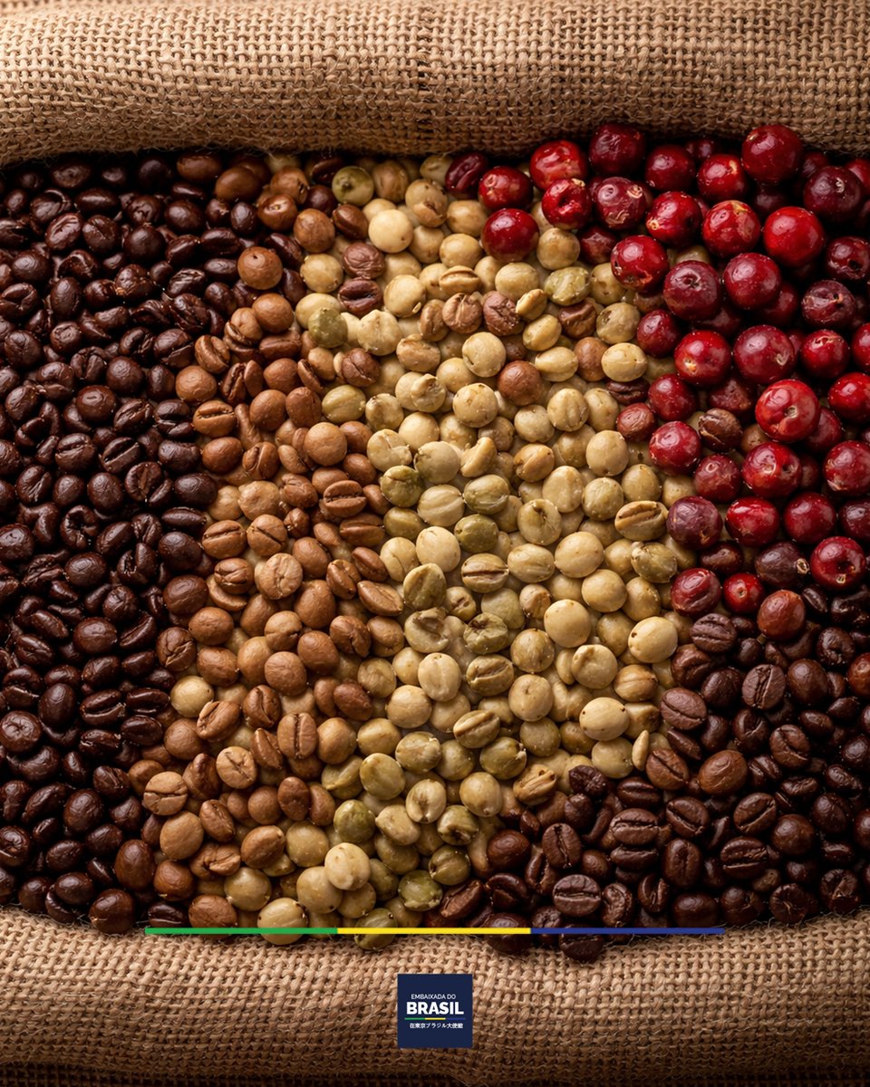 駐日ブラジル大使館 🇧🇷in🇯🇵 /Embaixada do Brasil no Japão tweet media