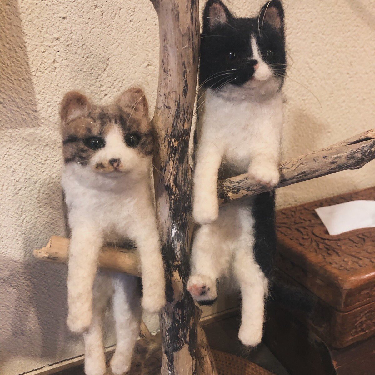 居酒屋 平和堂(ピンフ堂) tweet media
