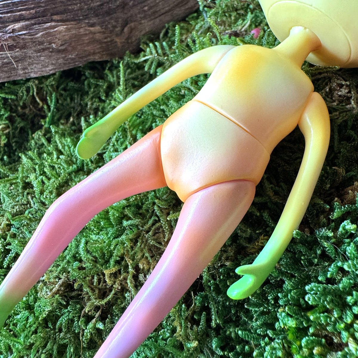 Wonder Frog Offical International tweet media