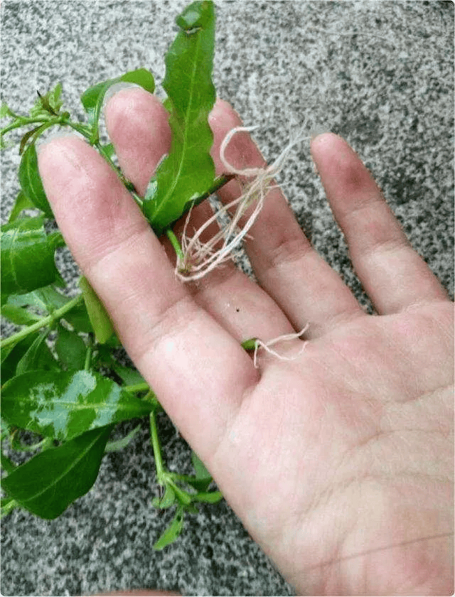 Adults Education 18+ tweet media