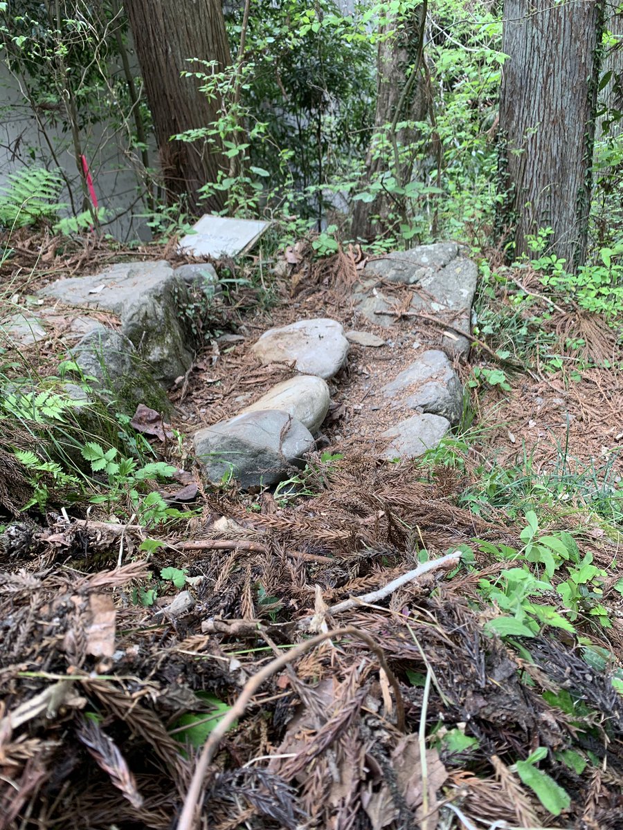 石段を直す。今晩の雨で落ち着くといいな。
#奥多摩 #石積み #石段