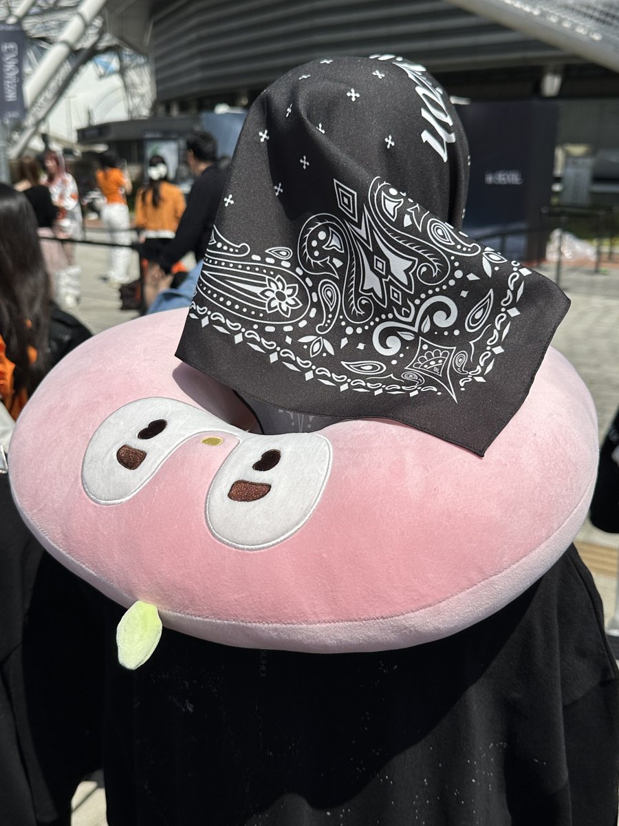 호됴과자 tweet media