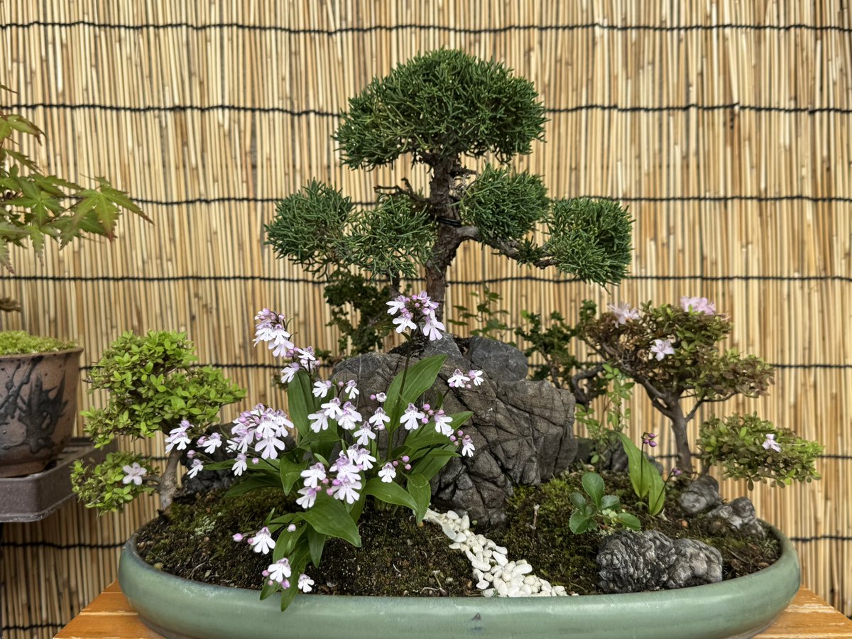 Second Life CBD tweet media