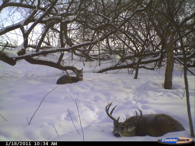 John fawn tweet media