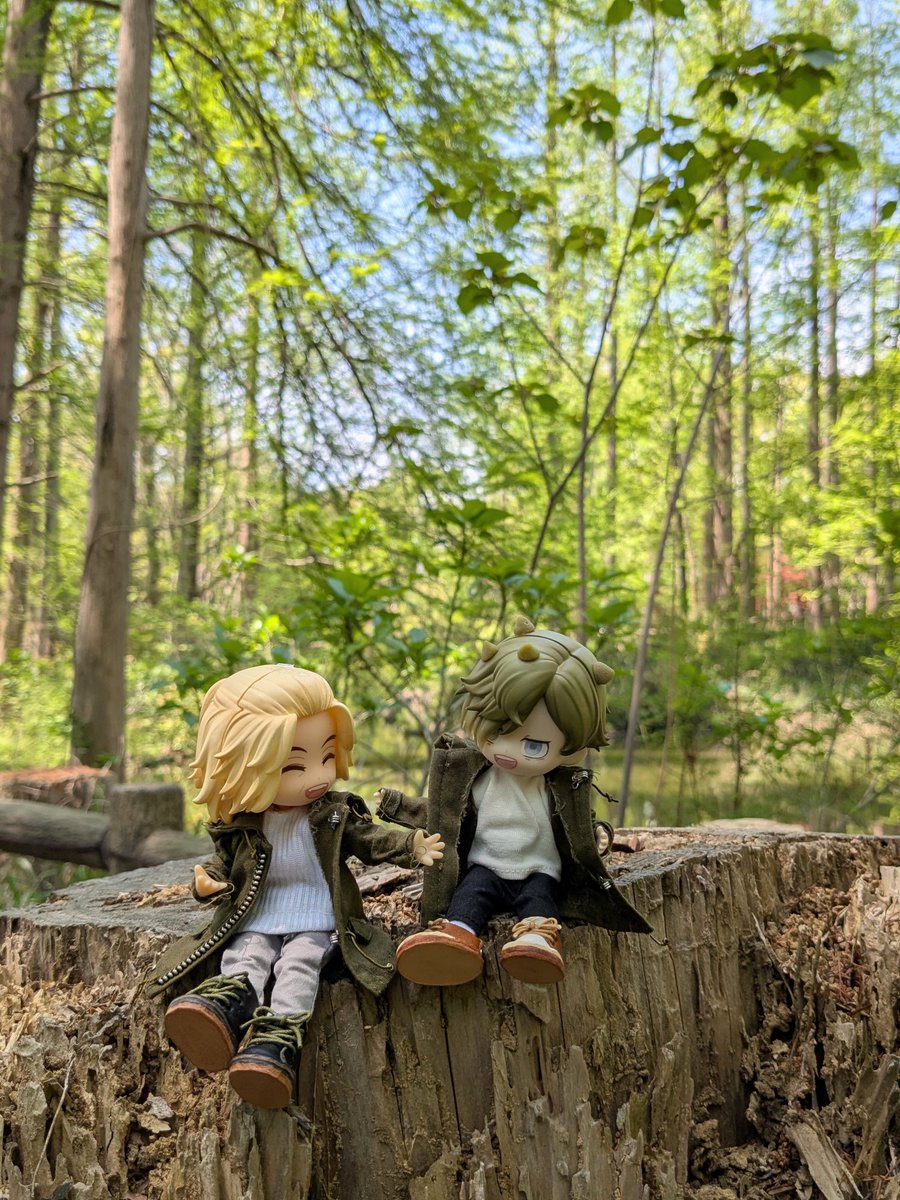 あーる tweet media