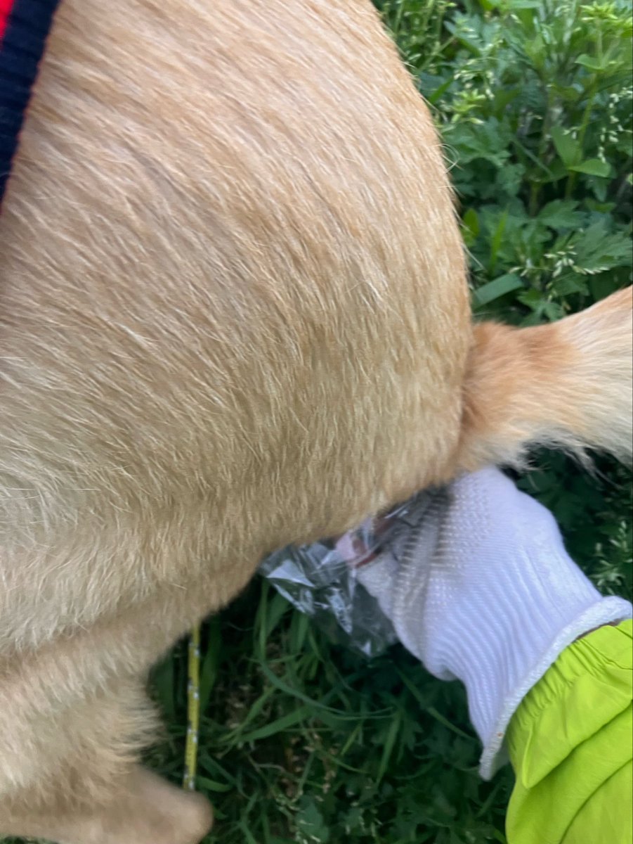 塩田☆ tweet media