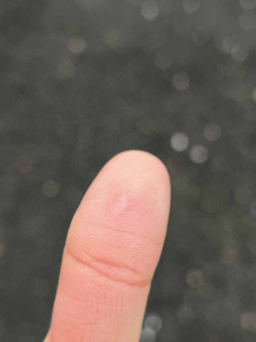 リンゴ味の梨 tweet media