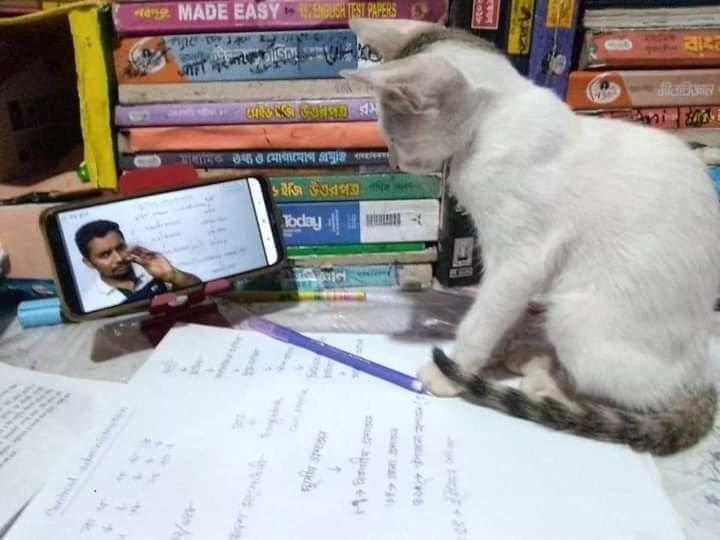 تبوكه☝🏻 tweet media