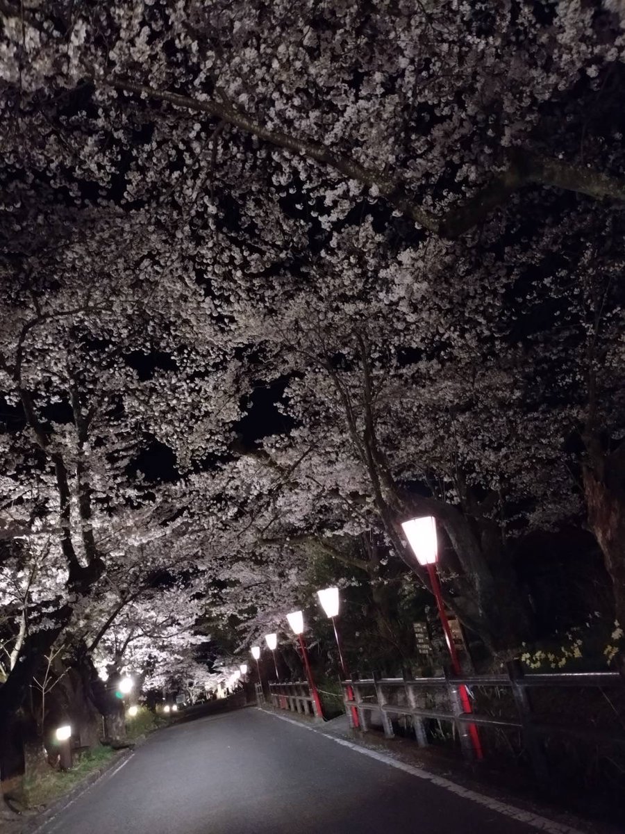 【公式】ながめの館 光雲閣 ～岳温泉から阿武隈山系を望む～雲海から昇る朝日は絶景 (@dake_kounkaku) / Posts / X