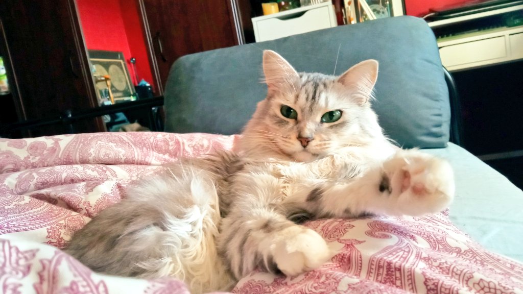 тёмный лес до небес tweet media