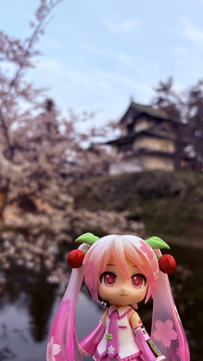 タンパク(優しくなりたい) tweet media