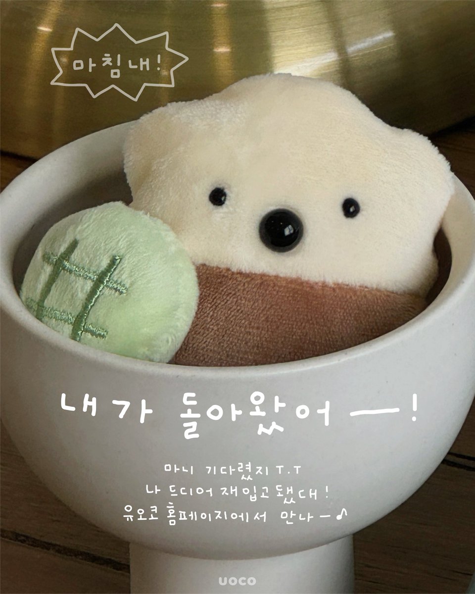 ᴜᴏᴄᴏ 유오코 tweet media
