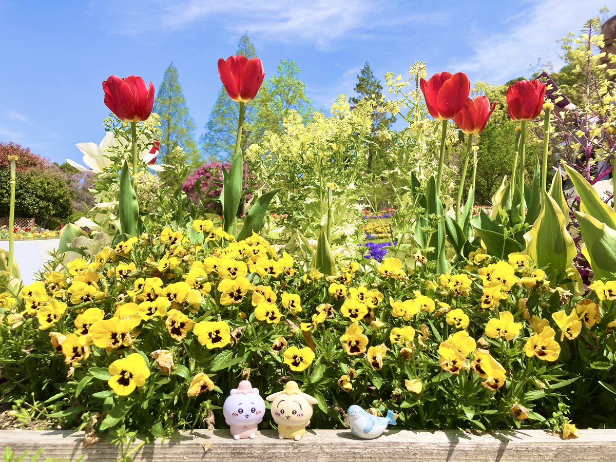 kbtmung's tweet photo. 🌷 https://t.co/AiDpLqtBMv