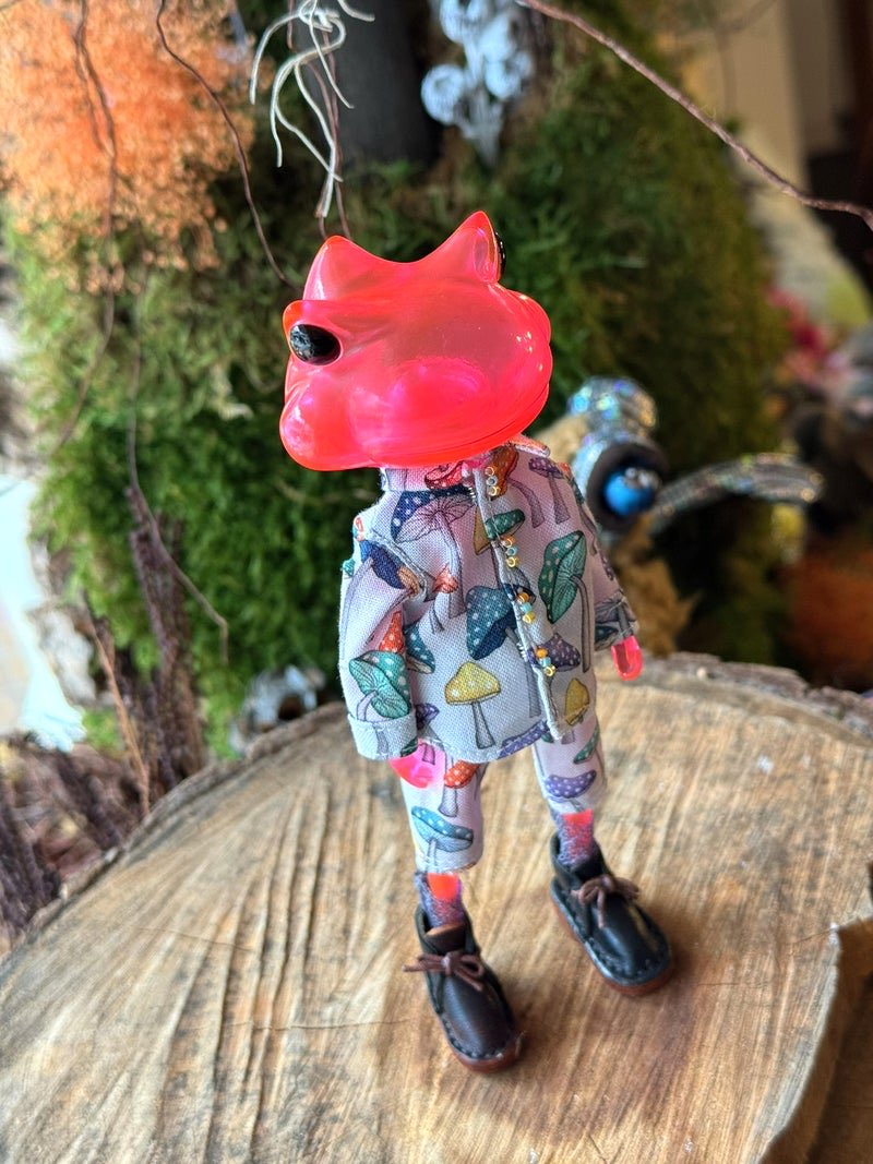 Wonder Frog Offical International tweet media