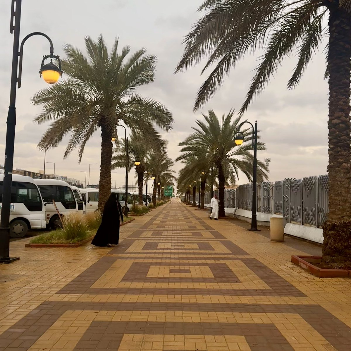 إيلاف tweet media